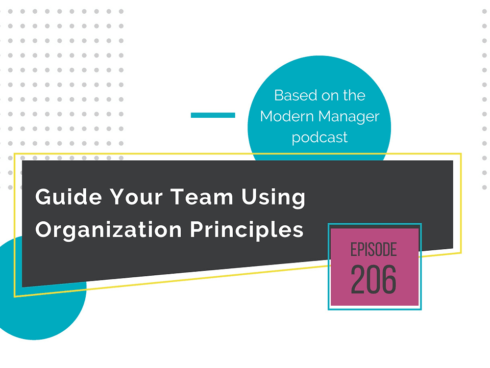 Guide Your Team Using Organization Principles