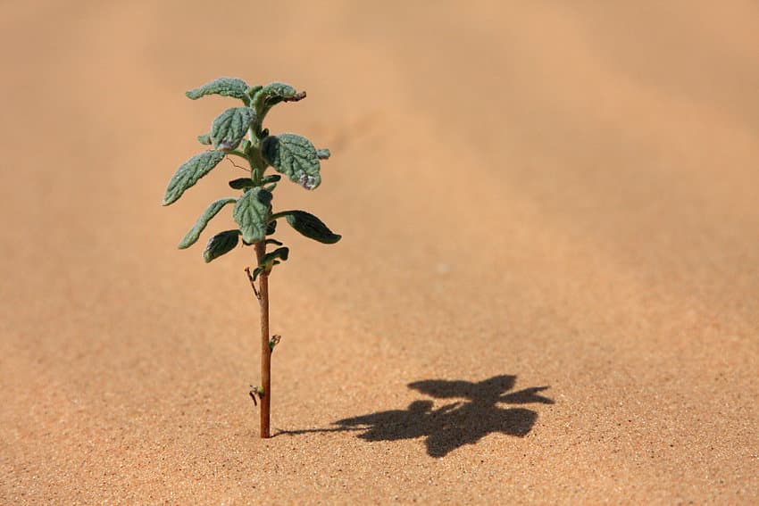 How To Create A High-Growth Team By Embracing Discomfort